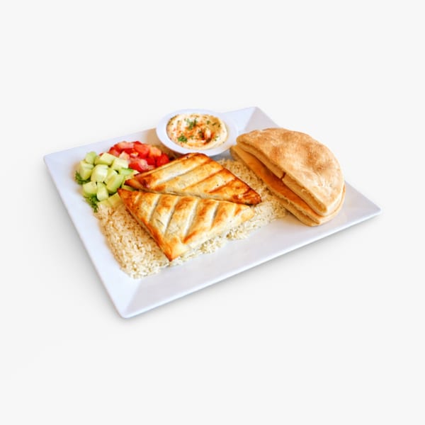 Mediterranean plate with two golden pastries, rice, chopped salad, hummus, and pita bread.